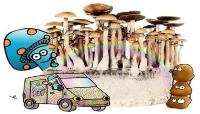 Psychedelic High image 6